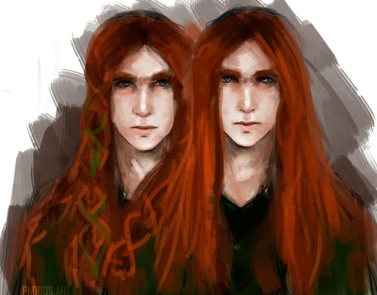 Файл:Amras and Amrod.jpeg